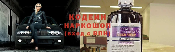 прущий лед Алзамай