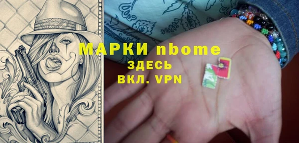 прущий лед Алзамай