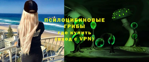 прущий лед Алзамай