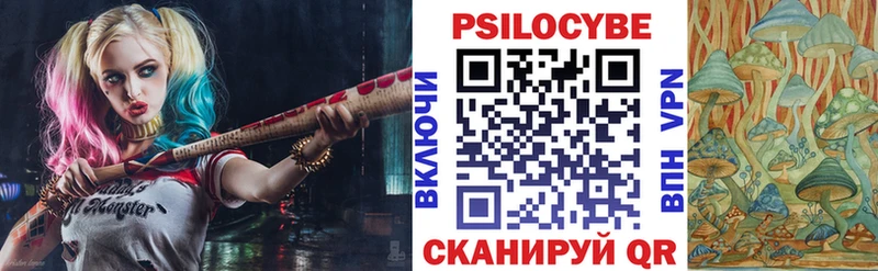 Псилоцибиновые грибы Psilocybe цены Дыгулыбгей